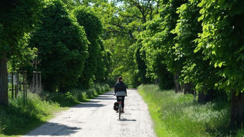 Agriturismo La Magione Quercegrossa エクステリア 写真